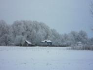 Вільшане з panoramio.com