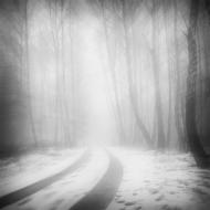 Дерев'янки - Останні фото