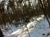 Пісківка з panoramio.com