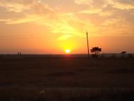 Берегове з panoramio.com