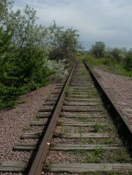 Плавні з panoramio.com