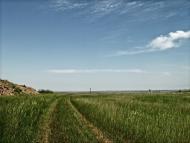 Верхнешевыревка - Последние фото