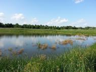 Новомиколаївське з panoramio.com