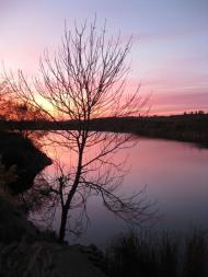 Нижня Кринка з panoramio.com