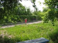 Циркуни з panoramio.com