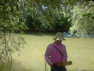 Дунайське з panoramio.com (ч.2)