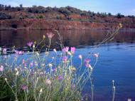 Стульневе з panoramio.com