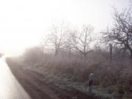 Рокосово з panoramio.com