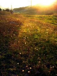 Інкерман з panoramio.com