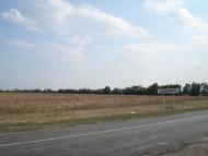 Нове - Останні фото