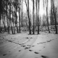 Дерев'янки з panoramio.com