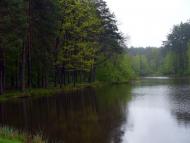 Лутівка з panoramio.com