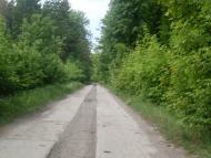 Копіївка з panoramio.com