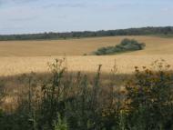 Трусилівка з panoramio.com