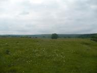 Бруслинів з panoramio.com