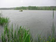 Таборище з panoramio.com