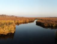 Твориничі з panoramio.com