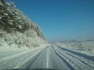 Саранчуки з panoramio.com