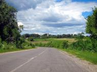 Гнилички - Последние фото