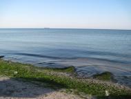 Лугове з panoramio.com