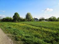 Матвіївці - Останні фото