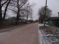 Скорінець з panoramio.com