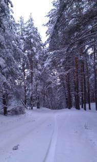 Камплиця з panoramio.com