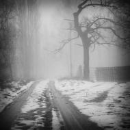 Дерев'янки - Останні фото