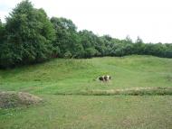 Дебеславці з panoramio.com