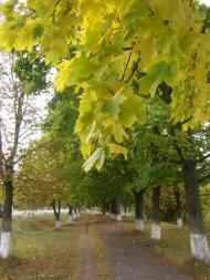 Балажер з panoramio.com