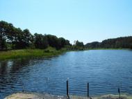 Меньківка з panoramio.com