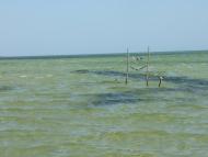 Красне з panoramio.com
