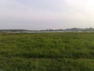 Коршів з panoramio.com