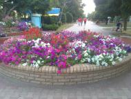 Строганівка з panoramio.com