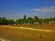 Кочергіне з panoramio.com