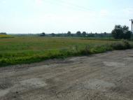 Карла Лібкнехта з panoramio.com