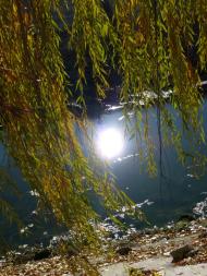 Чернишове з panoramio.com