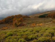 Запрудне з panoramio.com