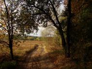 Коженики з panoramio.com