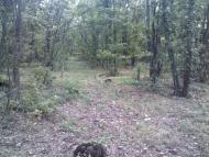 Старая Водолага - Последние фото