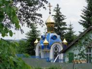Сороки з panoramio.com