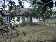 Катеринка з panoramio.com