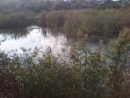 Слов'яносербка з panoramio.com
