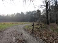 Звози з panoramio.com