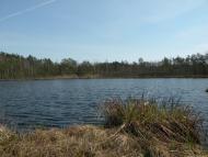 Житнівка з panoramio.com