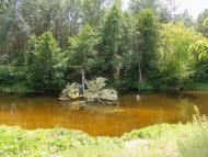 Лабурівка з panoramio.com