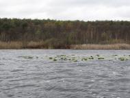 Пульмо з panoramio.com