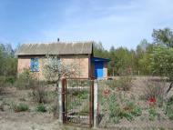 Матіївка - Останні фото