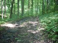 Кам'яниця з panoramio.com