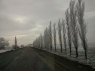 Миколаївське з panoramio.com